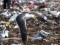 Larus fuscus heuglini