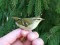 Phylloscopus inornatus
