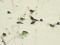 Carduelis flavirostris