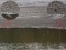 Calidris melanotos