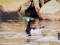 Branta leucopsis