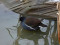 Common Moorhen (Gallinula chloropus) Sarkandaugava distributary, Riga 30-Dec-2021. © Igors Denisovs